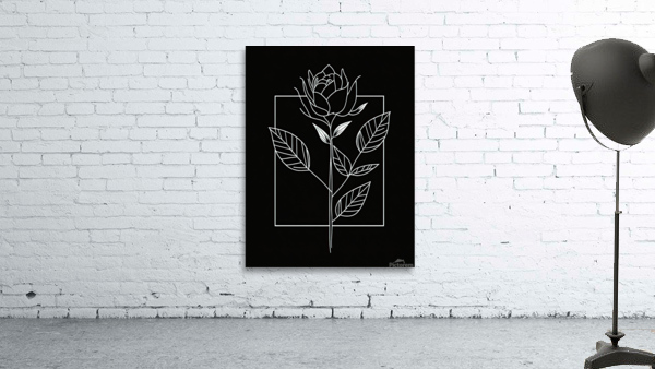 Black Rose Wall Preview
