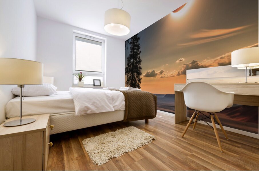 Epic Solar Eclipse Photography 1 Mural print