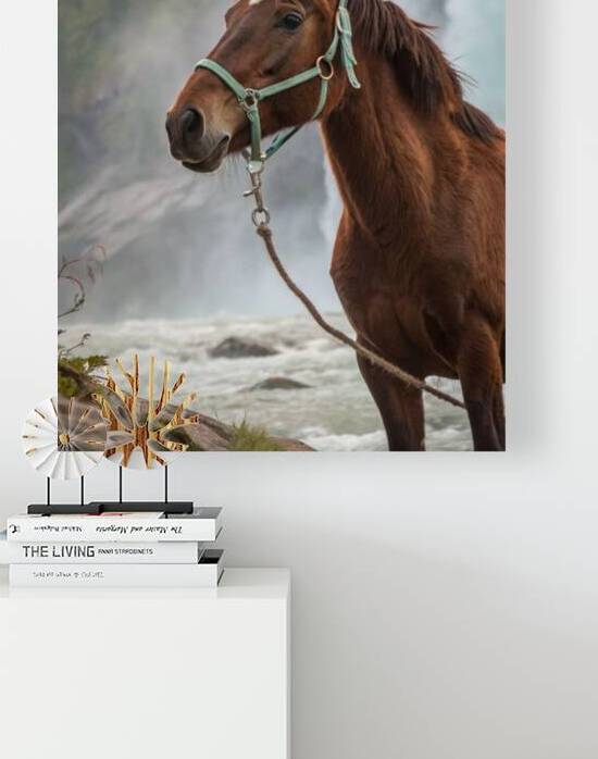 Majestic Equine by the Rushing Falls 1 by Artivax