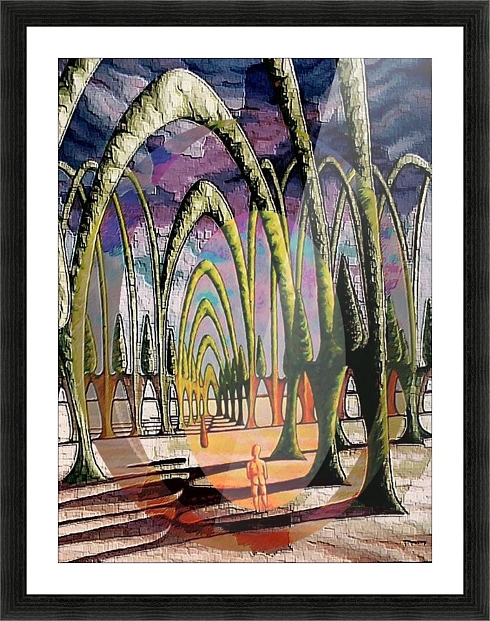 Cathedral1 Picture Frame print