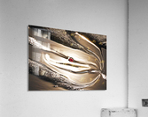 sun light reflections Acrylic Print