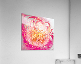 soft energy vortex Acrylic Print