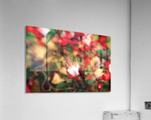 beyond visible Acrylic Print