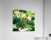green fluid abstract Acrylic Print