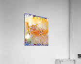 warm colors abstraction Acrylic Print