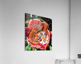 red tones abstract Acrylic Print
