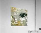 light and shade Acrylic Print
