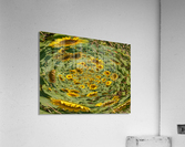 sunflowers vortex Acrylic Print