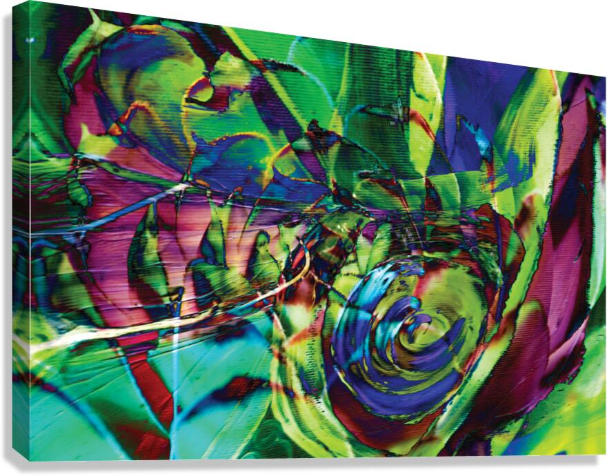 swirling abstract shapes  Canvas Print