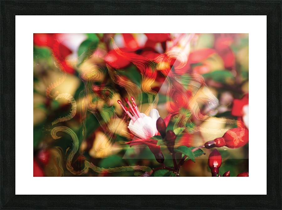 beyond visible Picture Frame print