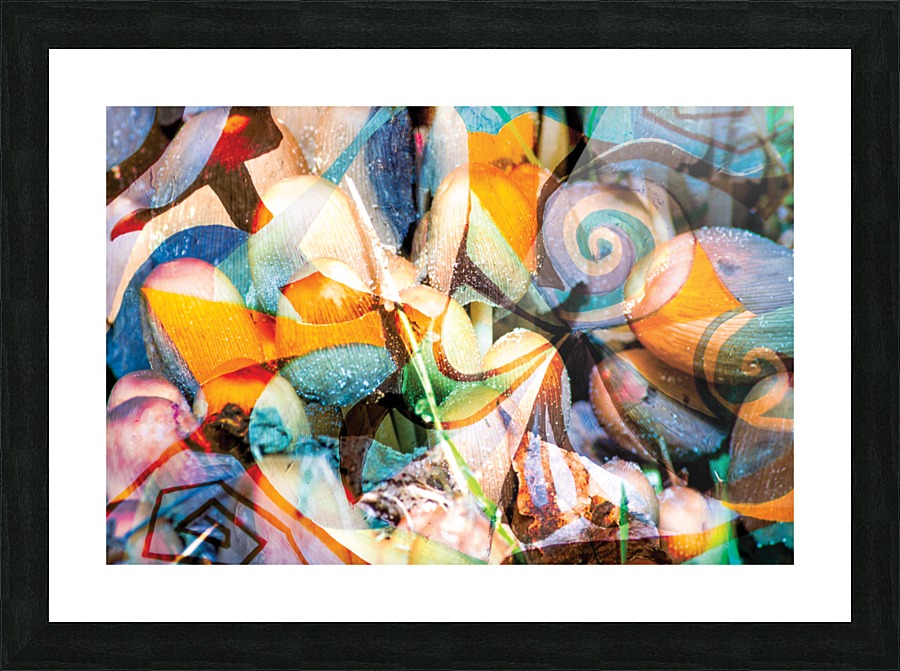 soft tones transparencies Picture Frame print