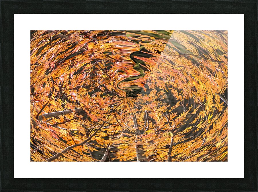 fall vortex  Picture Frame print