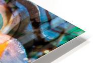 soft tones transparencies HD Metal print