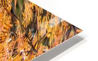 fall vortex  HD Metal print