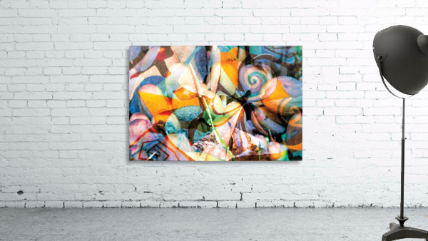 soft tones transparencies Wall Preview