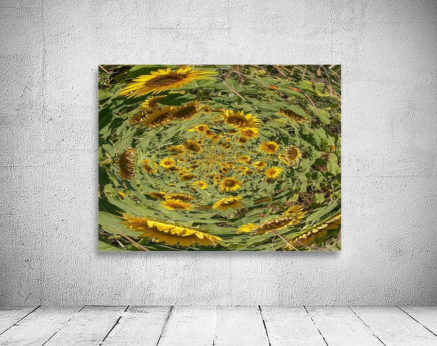 sunflowers vortex Wall Preview