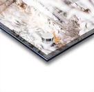 Winter Flies Acrylic print