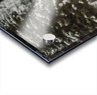 The Yak Acrylic print