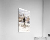 Winter Flies 2 Acrylic Print