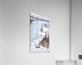 From Above Acrylic Print