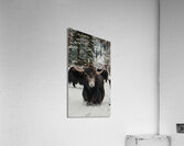 The Yak Acrylic Print