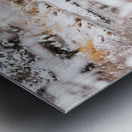 Winter Flies Metal print