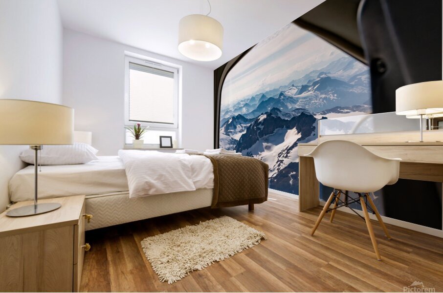 From Above 3 Mural print