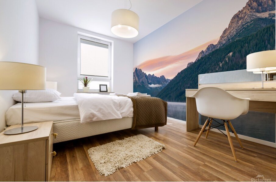 Redfish Lake 2 Mural print