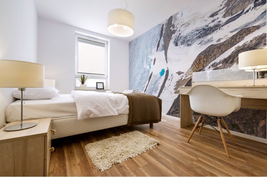 From Above Mural print