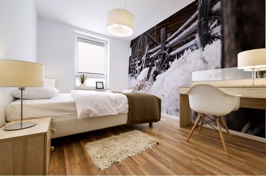 Frozen In Time Mural print
