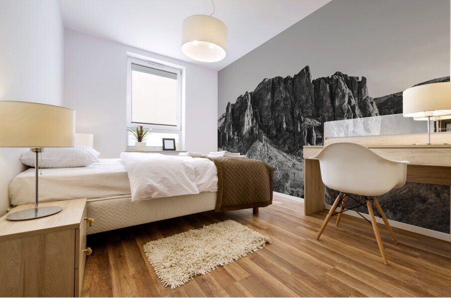 The Superstitions BW Mural print