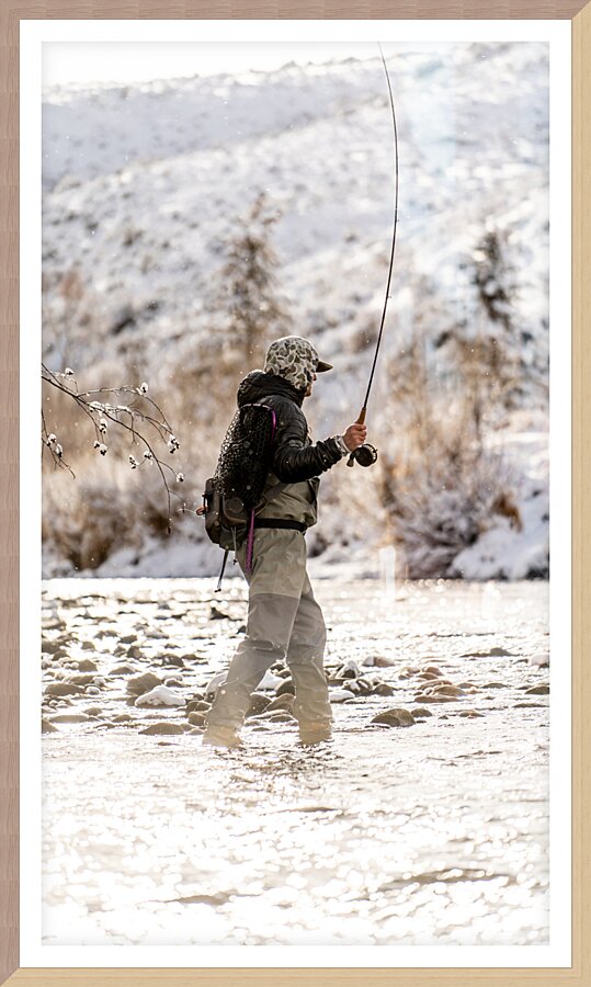 Winter Flies 2 Picture Frame print