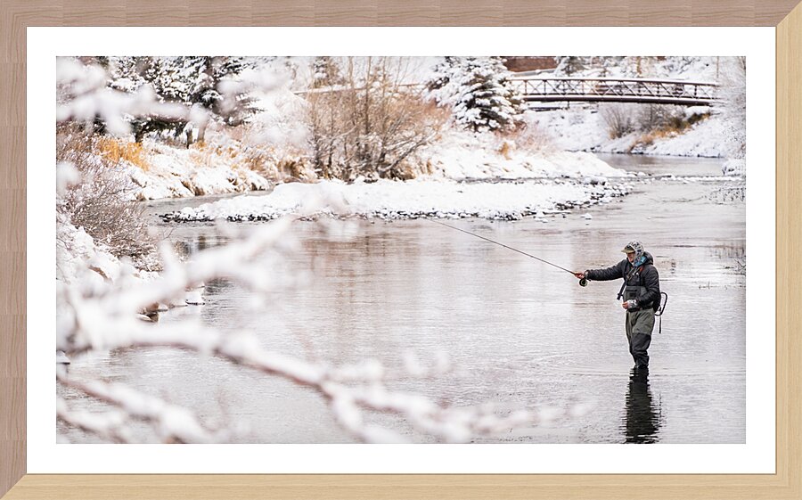 Winter Flies Picture Frame print