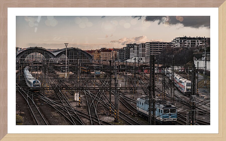 Organized Chaos  Picture Frame print