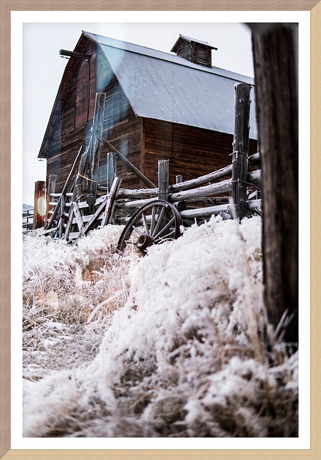 Frozen In Time Picture Frame print