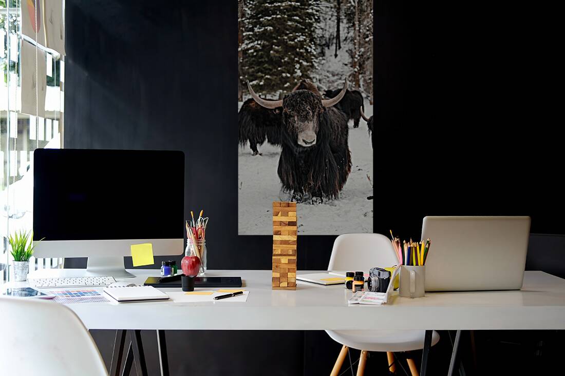 The Yak Reproduction