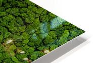 Trees From Above HD Metal print