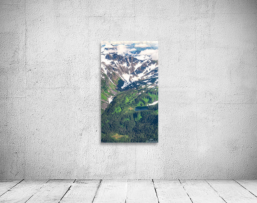 From Above 2 Wall Preview