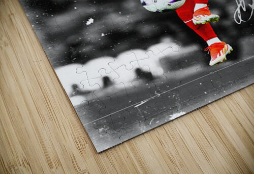 Luis D az David Pup puzzle