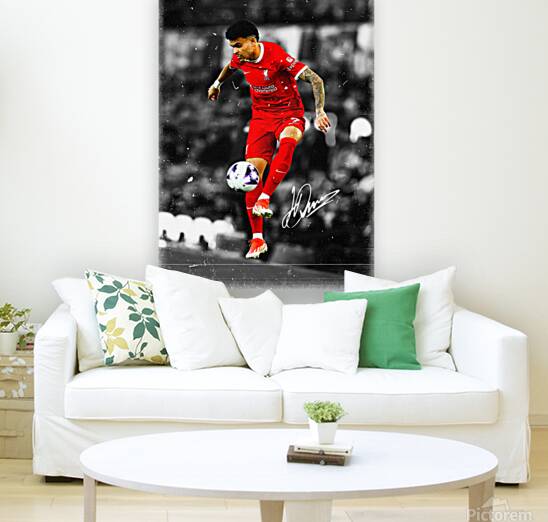 Luis D az Reproduction