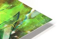 Rapid Vienna HD Metal print