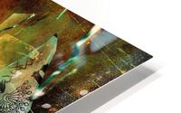 Pau HD Metal print