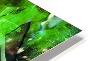 Hannover 96 HD Metal print