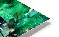 Fortuna Sittard HD Metal print