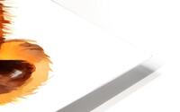 Simba lion king HD Metal print