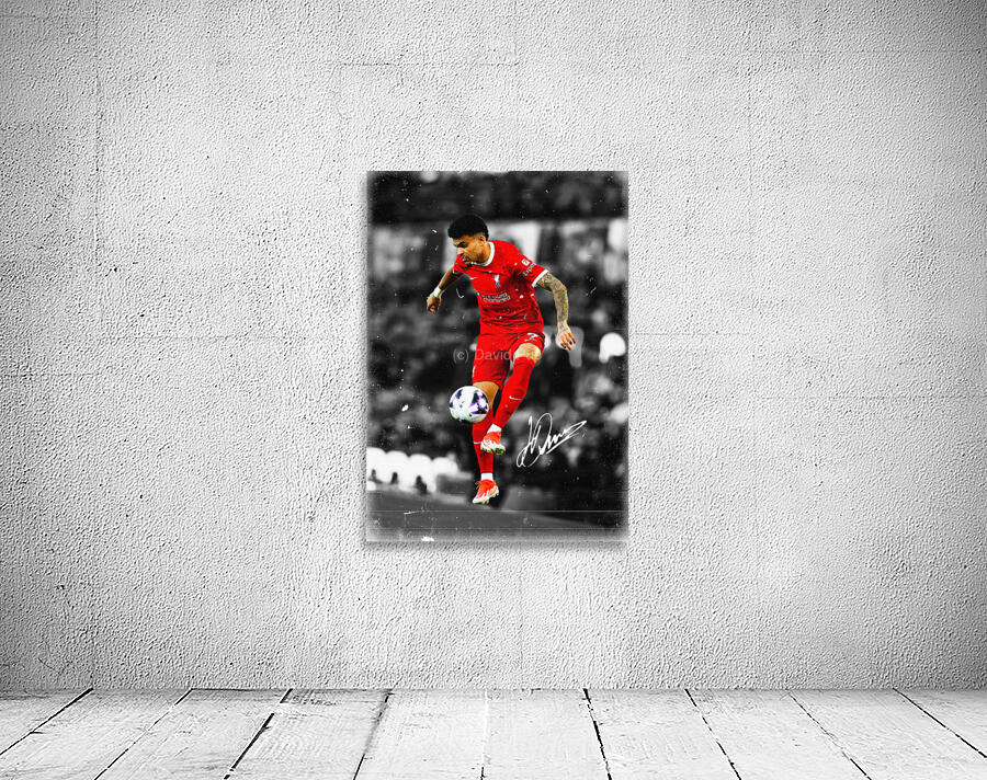 Luis D az Wall Preview