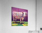 Vache coloree Acrylic Print