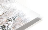 Holiday Bridge HD Metal print