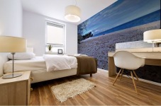 Beach in Fall Mural print