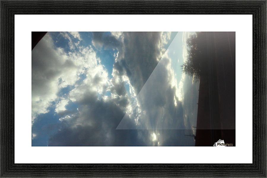  Fine Art print